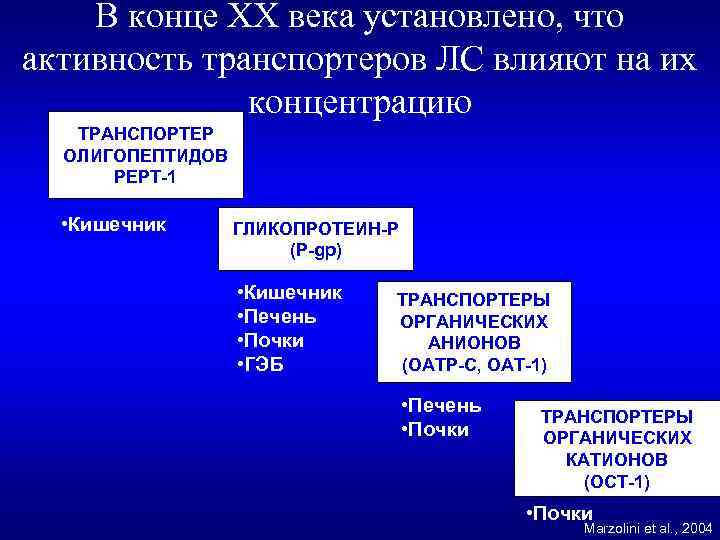 В конце ХХ века установлено, что активность транспортеров ЛС влияют на их концентрацию ТРАНСПОРТЕР