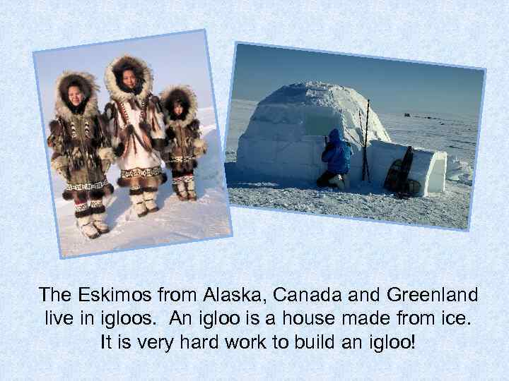 The Eskimos from Alaska, Canada and Greenland live in igloos. An igloo is a