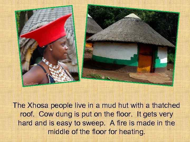 The Xhosa people live in a mud hut with a thatched roof. Cow dung
