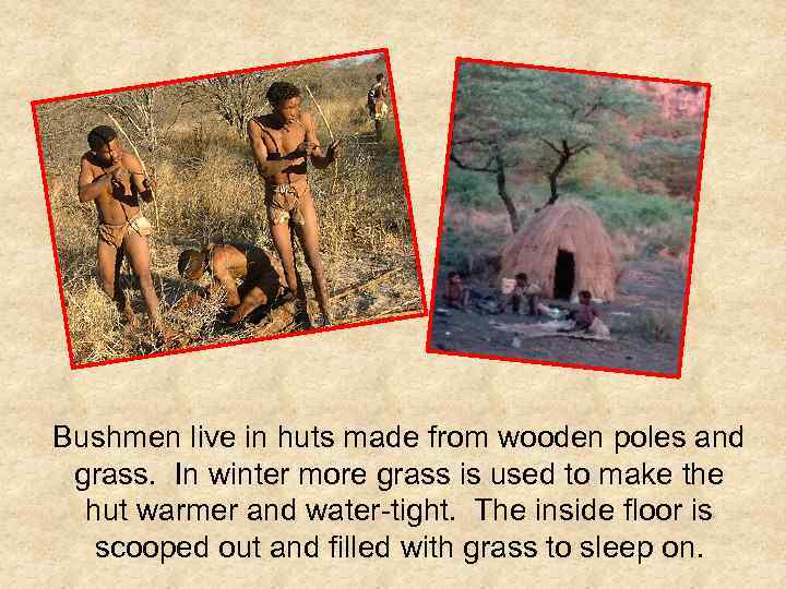 Bushmen live in huts made from wooden poles and grass. In winter more grass