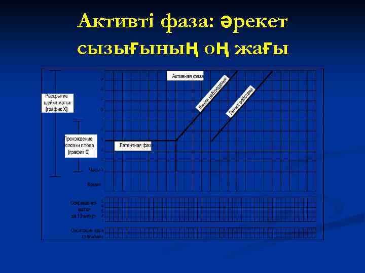 Активті фаза: әрекет сызығының оң жағы 