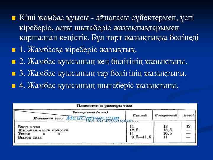 n n n Кіші жамбас қуысы - айналасы сүйектермен, үсті кіреберіс, асты шығаберіс жазықтықтарымен