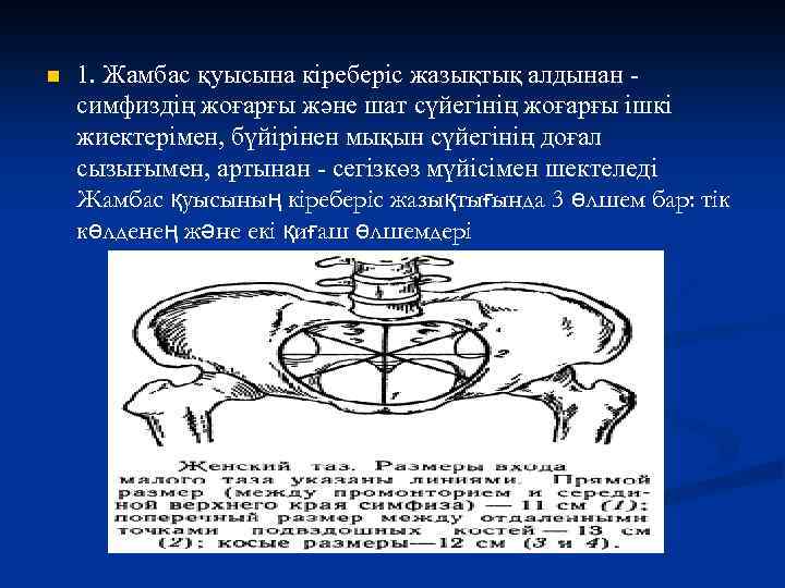 n 1. Жамбас қуысына кіреберіс жазықтық алдынан - симфиздің жоғарғы және шат сүйегінің жоғарғы