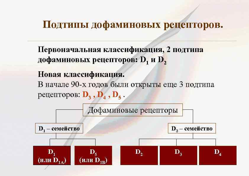 Дофаминовые рецепторы. Д2 дофаминовые рецепторы. D1 и d2 дофаминовые рецепторы. Дофаминовые рецепторы таблица. Д2 дофаминовые рецепторы функции.