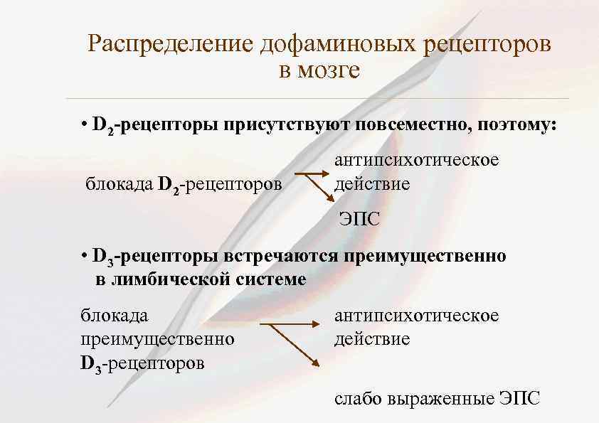 D рецепторы. Д2 дофаминовые рецепторы. Локализация дофаминовых д2 рецепторов. Блокада дофаминовых d2-рецепторов. Д2 рецепторы локализация.