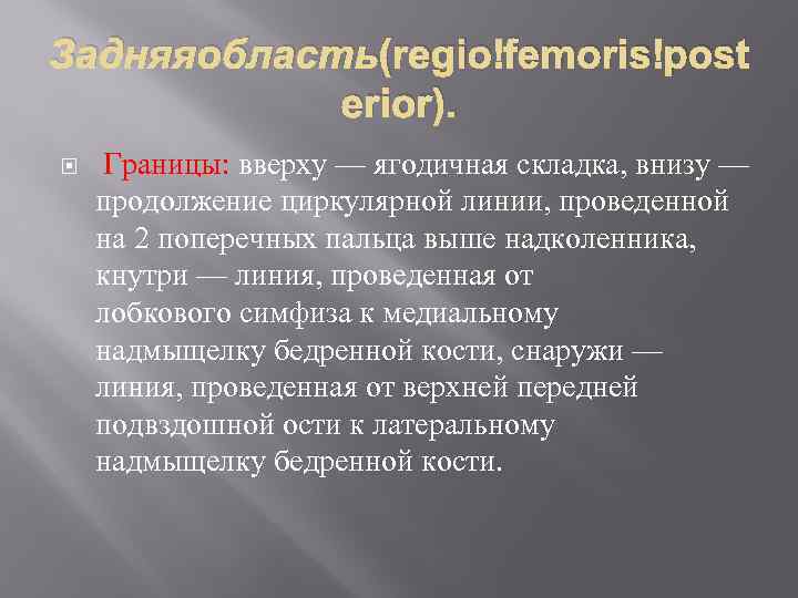 Задняяобласть(regio femoris post erior). Границы: вверху — ягодичная складка, внизу — продолжение циркулярной линии,