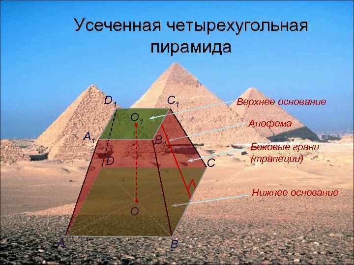 Усеченная четырехугольная пирамида D 1 C 1 Верхнее основание О 1 A 1 Апофема