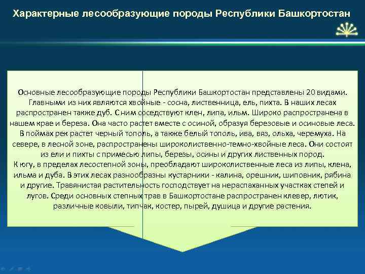 Характерные лесообразующие породы Республики Башкортостан Основные лесообразующие породы Республики Башкортостан представлены 20 видами. Главными