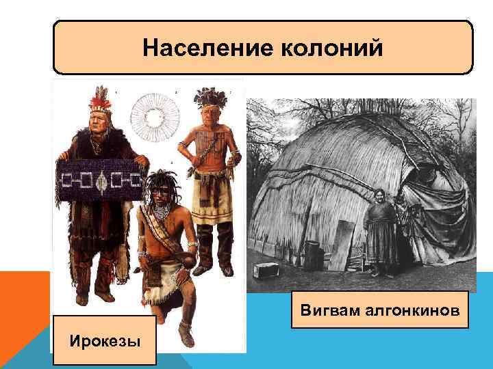 Население колоний Вигвам алгонкинов Ирокезы 