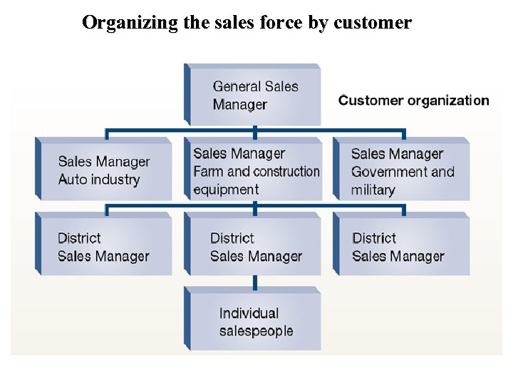 Organizing the sales force by customer 