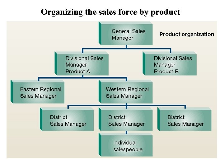 Organizing the sales force by product 