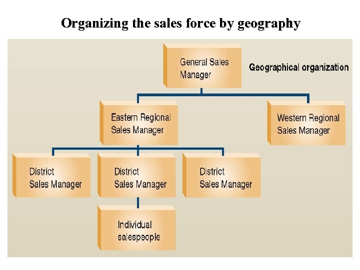 Organizing the sales force by geography 