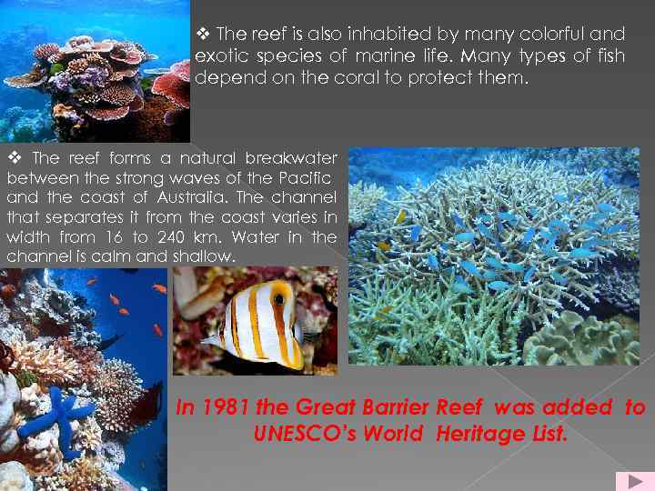 v The reef is also inhabited by many colorful and exotic species of marine