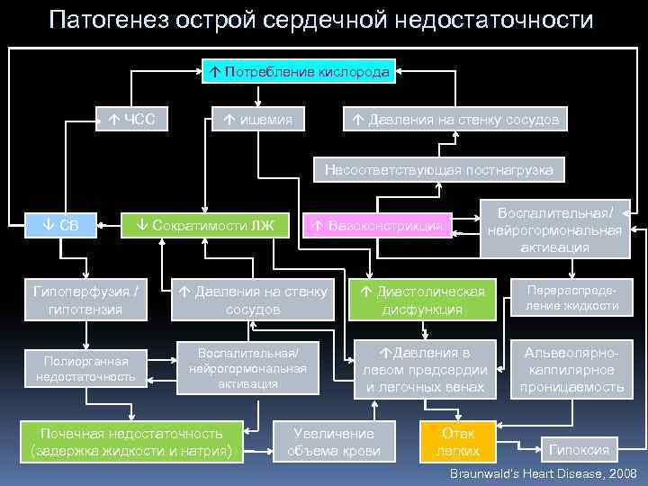 Патогенез хсн схема