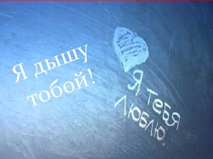 у ш ды ! Я ой б о т 