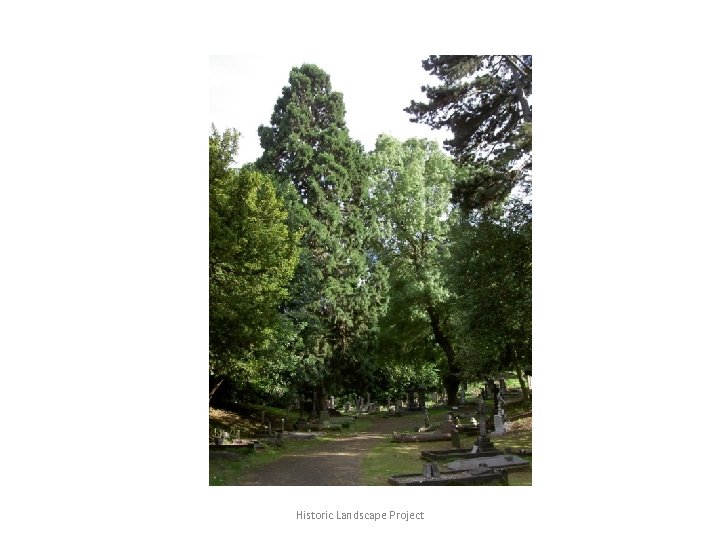Historic Landscape Project 