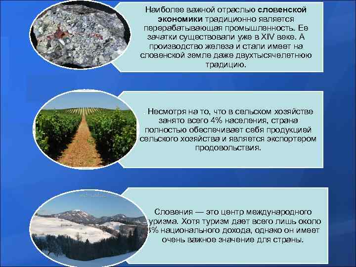 Наиболее важной отраслью словенской экономики традиционно является перерабатывающая промышленность. Ее зачатки существовали уже в