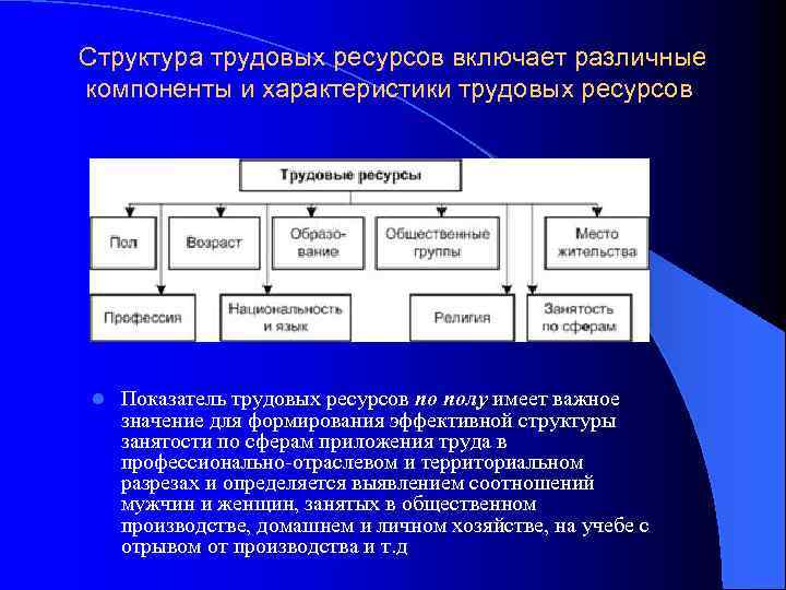 Структура трудовых ресурсов включает различные компоненты и характеристики трудовых ресурсов l Показатель трудовых ресурсов