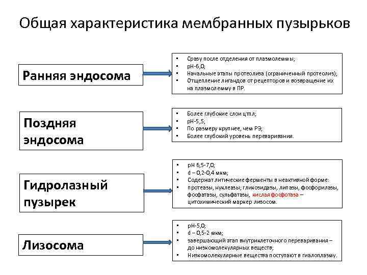 Общая характеристика мембранных пузырьков Ранняя эндосома Поздняя эндосома Гидролазный пузырек Лизосома • • Сразу