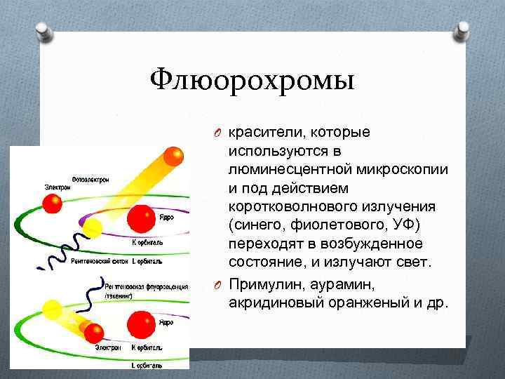 Флюорохромы O красители, которые используются в люминесцентной микроскопии и под действием коротковолнового излучения (синего,