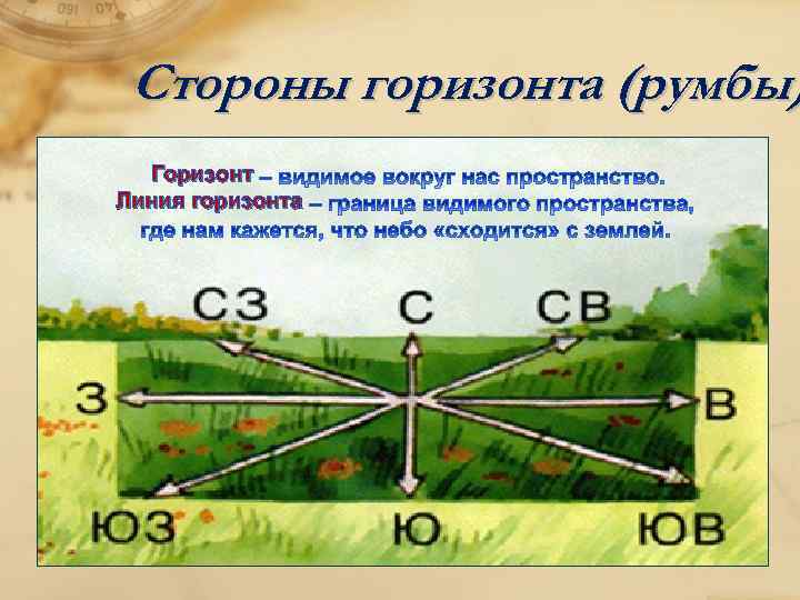 Стороны горизонта (румбы) Горизонт Линия горизонта 