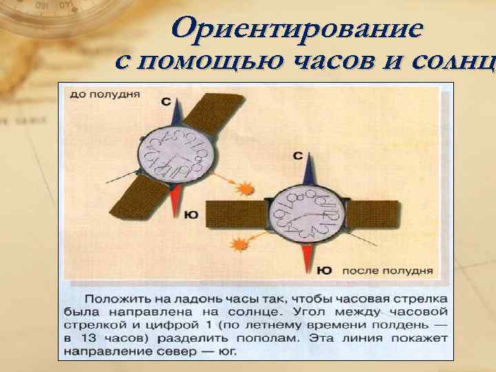 Ориентирование с помощью часов и солнца солнц 