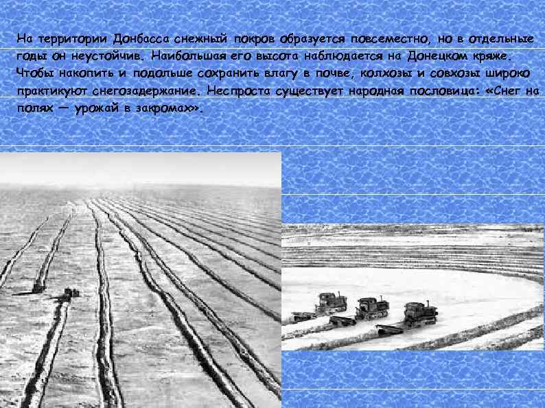 На территории Донбасса снежный покров образуется повсеместно, но в отдельные годы он неустойчив. Наибольшая