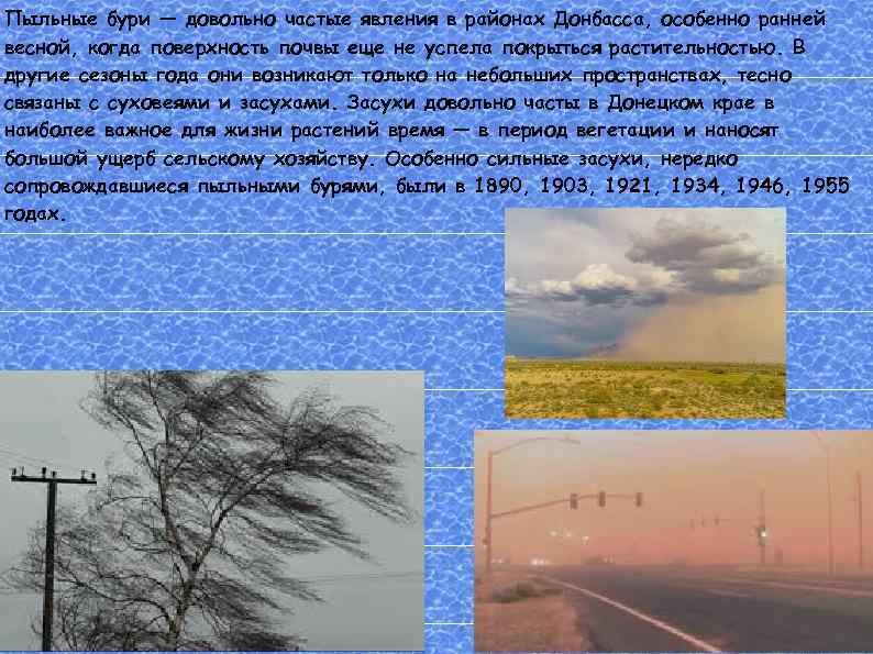Пыльные бури — довольно частые явления в районах Донбасса, особенно ранней весной, когда поверхность