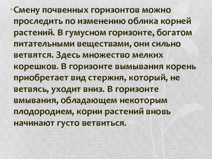  • Смену почвенных горизонтов можно проследить по изменению облика корней растений. В гумусном