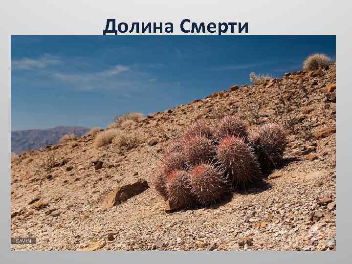 Долина Смерти 
