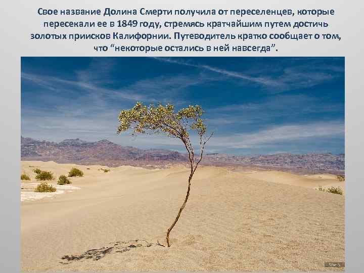Свое название Долина Смерти получила от переселенцев, которые пересекали ее в 1849 году, стремясь