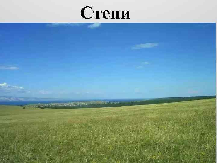 Степи 