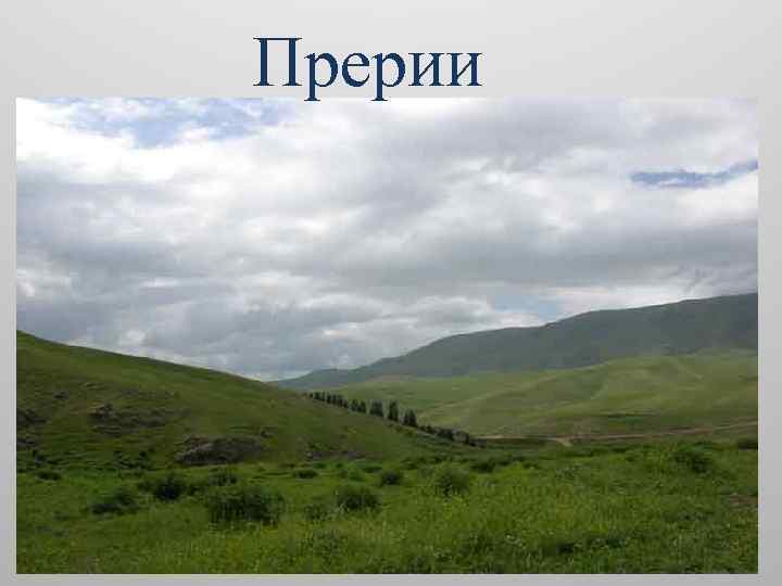 Прерии 