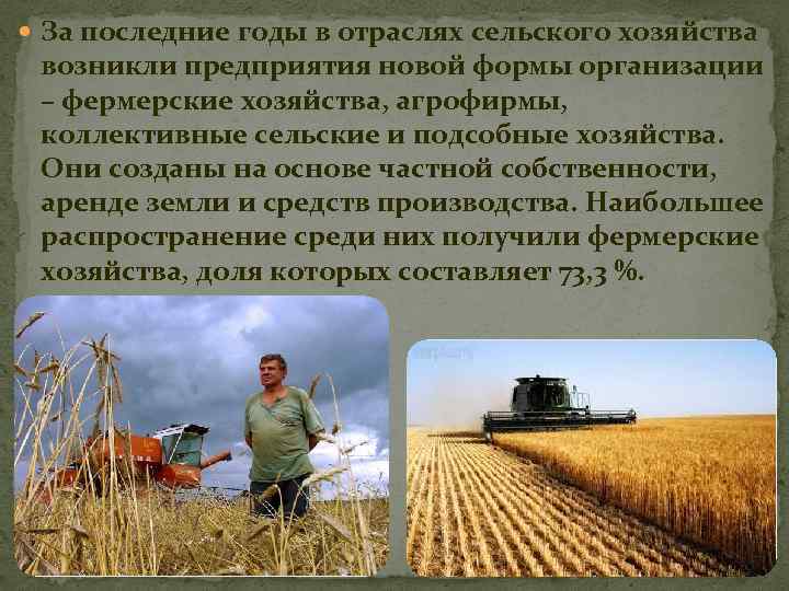  За последние годы в отраслях сельского хозяйства возникли предприятия новой формы организации –