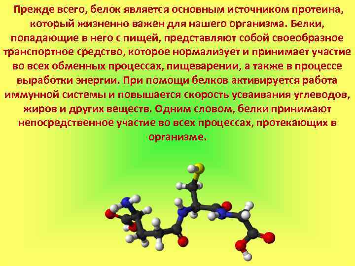  Прежде всего, белок является основным источником протеина, который жизненно важен для нашего организма.