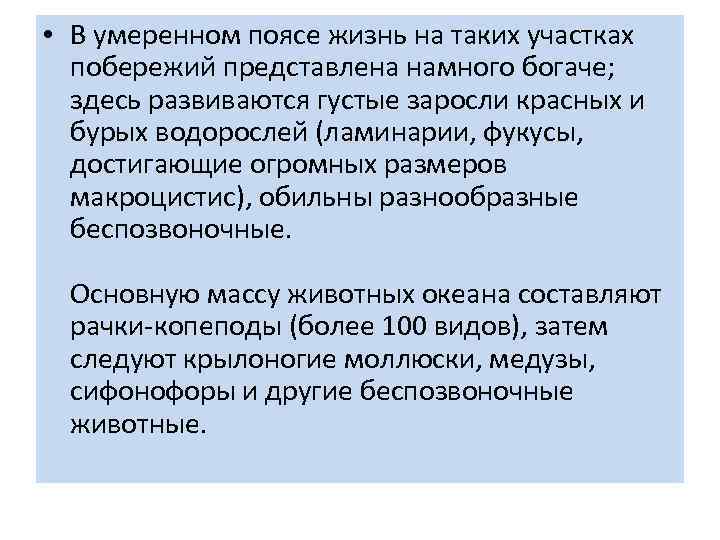  • В умеренном поясе жизнь на таких участках побережий представлена намного богаче; здесь