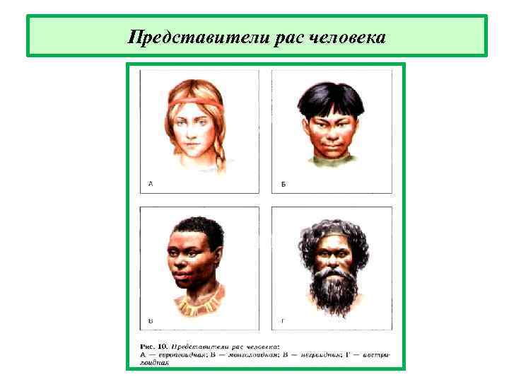 Представители рас человека 