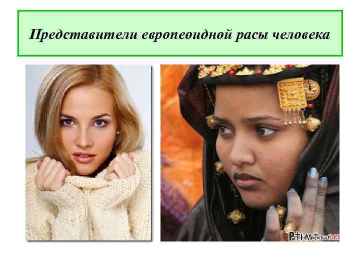 Представители европеоидной расы человека 