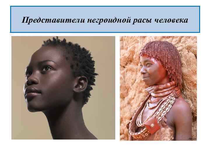 Представители негроидной расы человека 