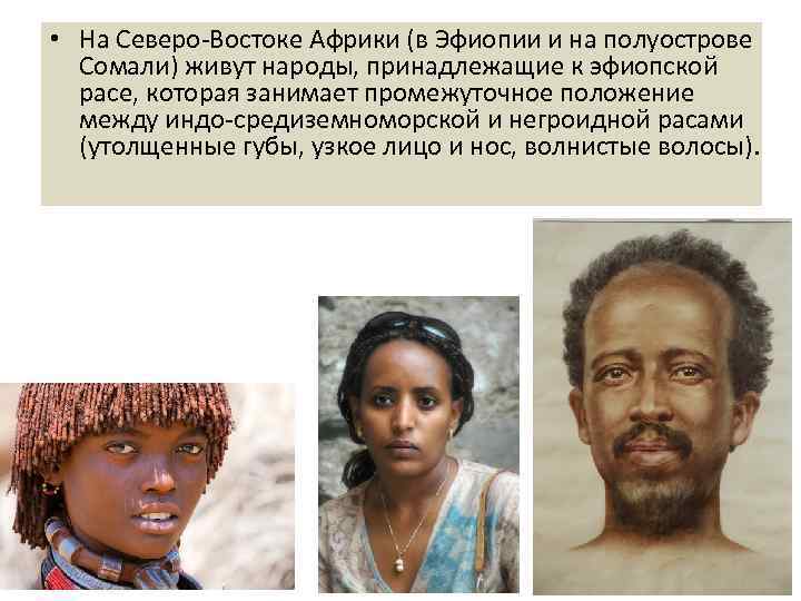  • На Северо-Востоке Африки (в Эфиопии и на полуострове Сомали) живут народы, принадлежащие