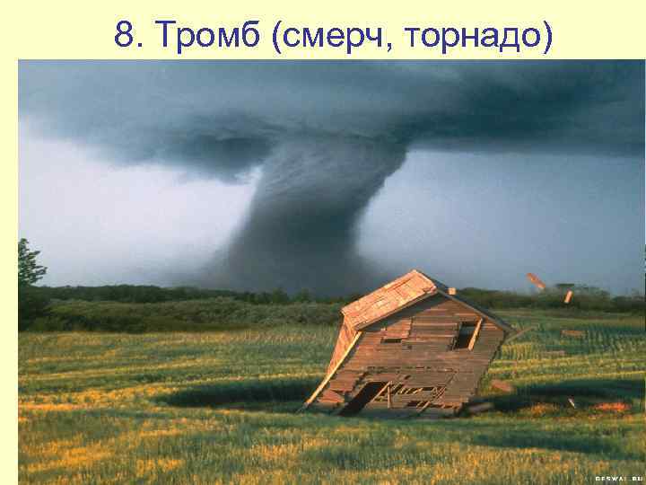8. Тромб (смерч, торнадо) • Пониженное давление внутри смерчей и торнадо создает «эффект насоса»