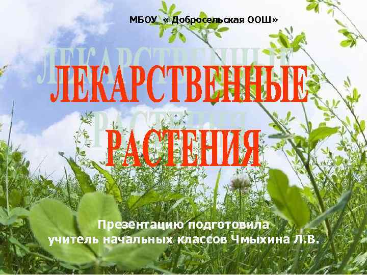 МБОУ « Добросельская ООШ» Презентацию подготовила учитель начальных классов Чмыхина Л. В. 