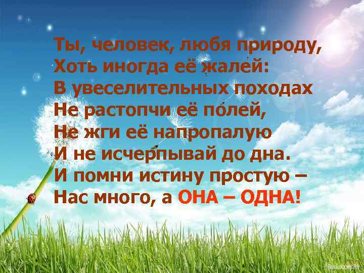 Ты, человек, любя природу, Хоть иногда её жалей: В увеселительных походах Не растопчи её