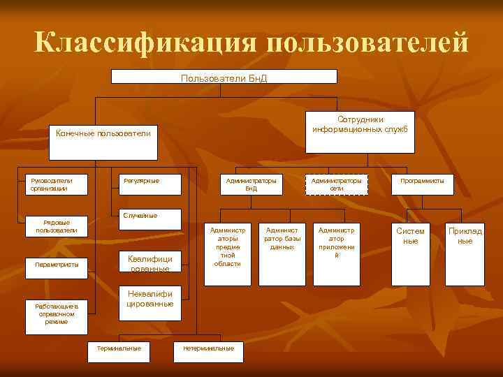 Классификация пользователей Пользователи Бн. Д Сотрудники информационных служб Конечные пользователи Руководители организации Рядовые пользователи