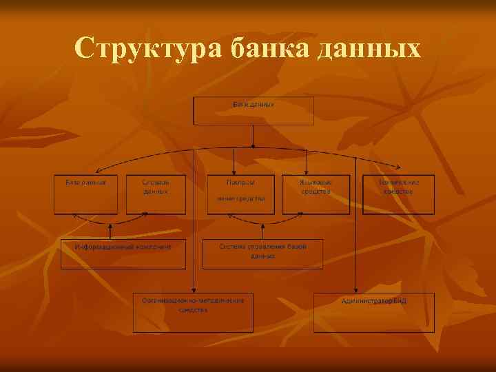 Структура банка данных 