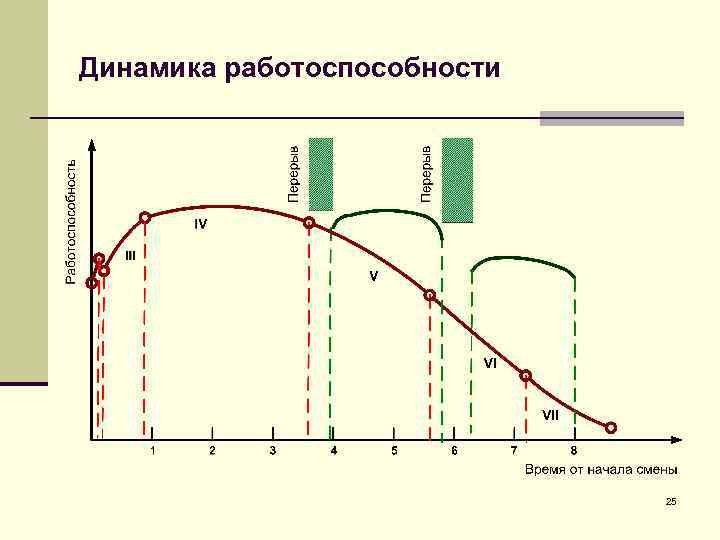 Динамика работоспособности 25 