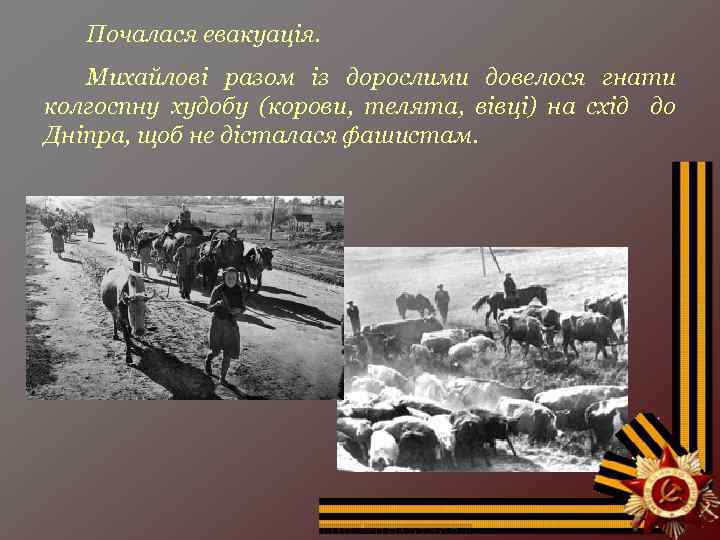 Почалася евакуація. Михайлові разом із дорослими довелося гнати колгоспну худобу (корови, телята, вівці) на