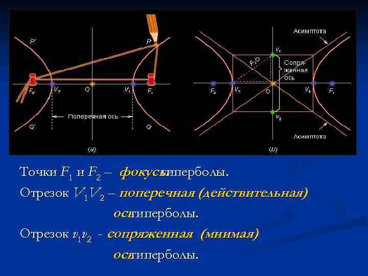 Точки F 1 и F 2 – фокусы гиперболы. Отрезок V 1 V 2