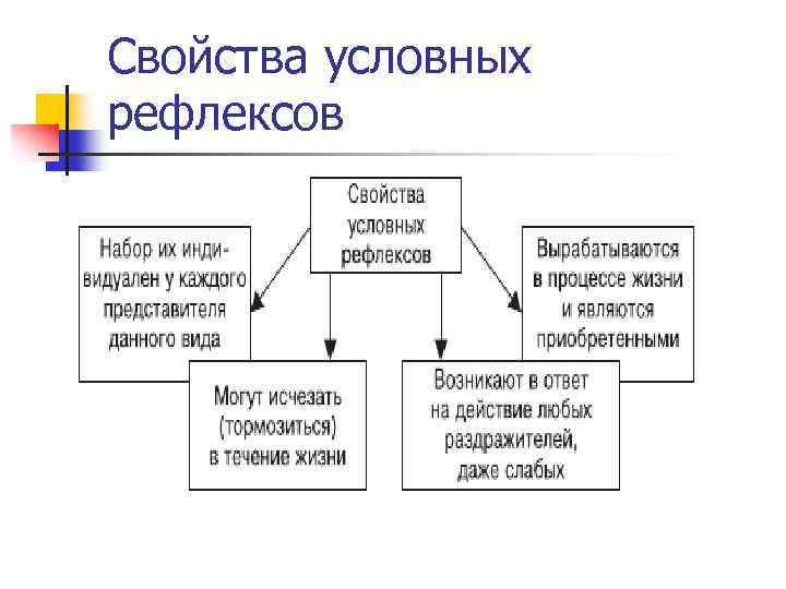 Свойства условных рефлексов 