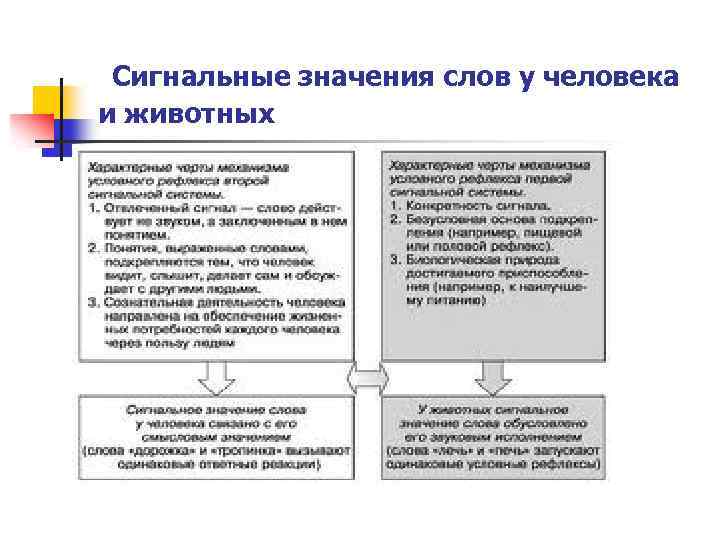 Сигнальные значения слов у человека и животных 